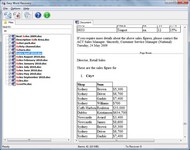 Easy Word Recovery screenshot